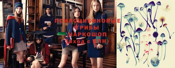 кокаин Белокуриха