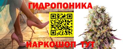 стаф Волжский